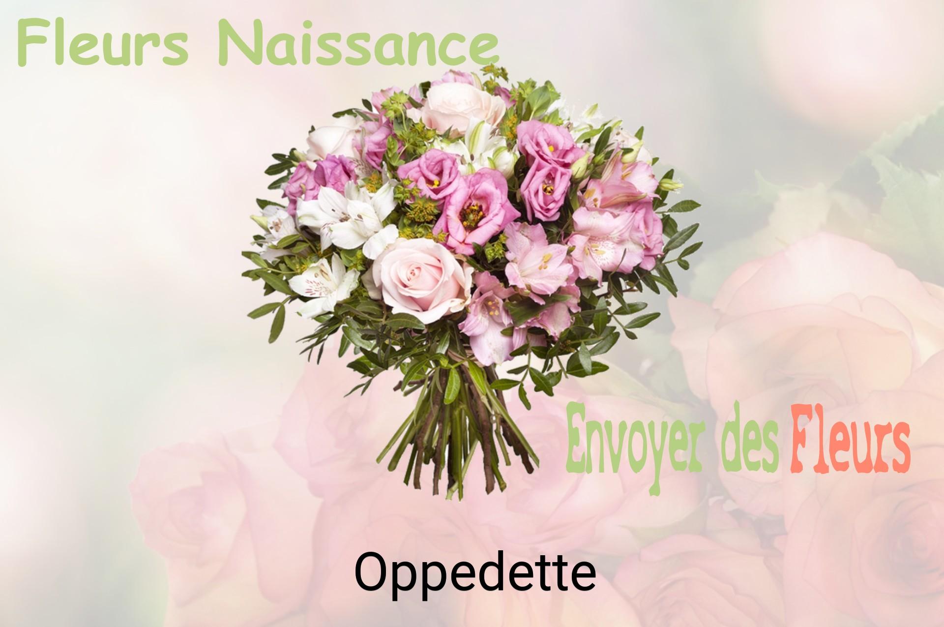Bouquet de fleurs de naissance livré à Oppedette