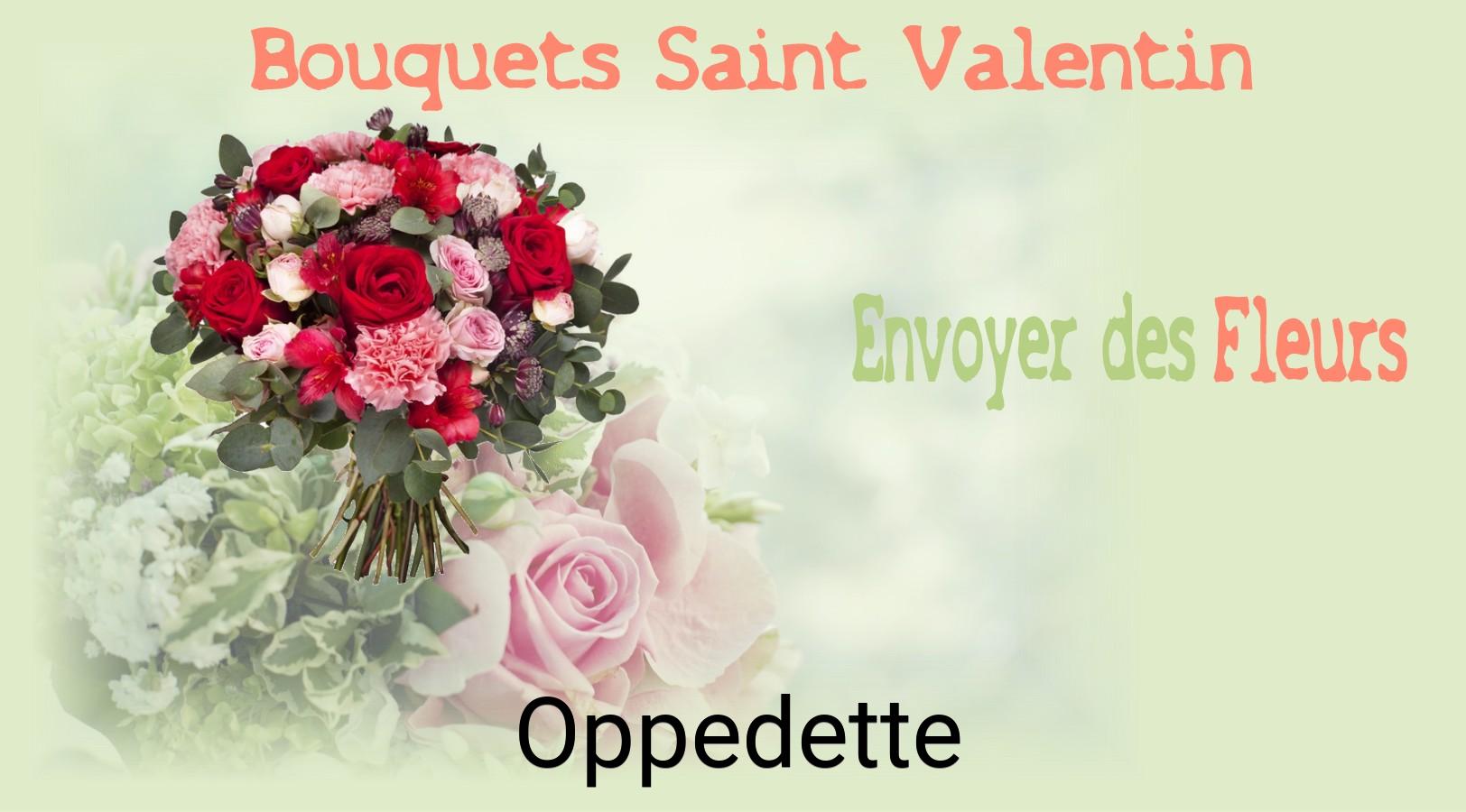 Roses de Saint-Valentin livrées à Oppedette