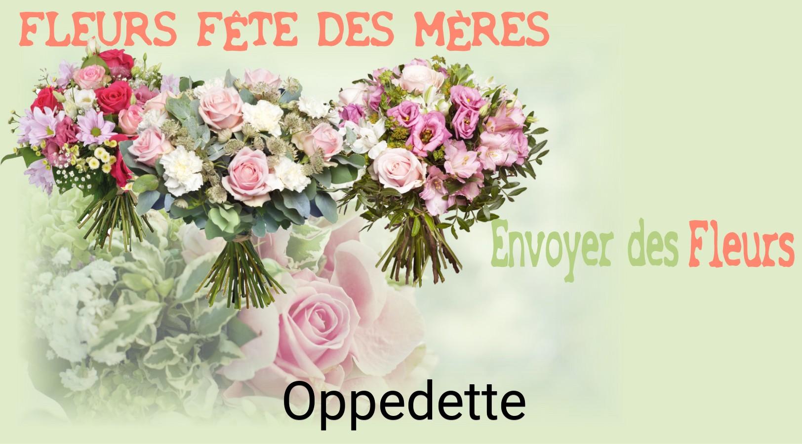 Bouquet de Fête des Mères livré à Oppedette